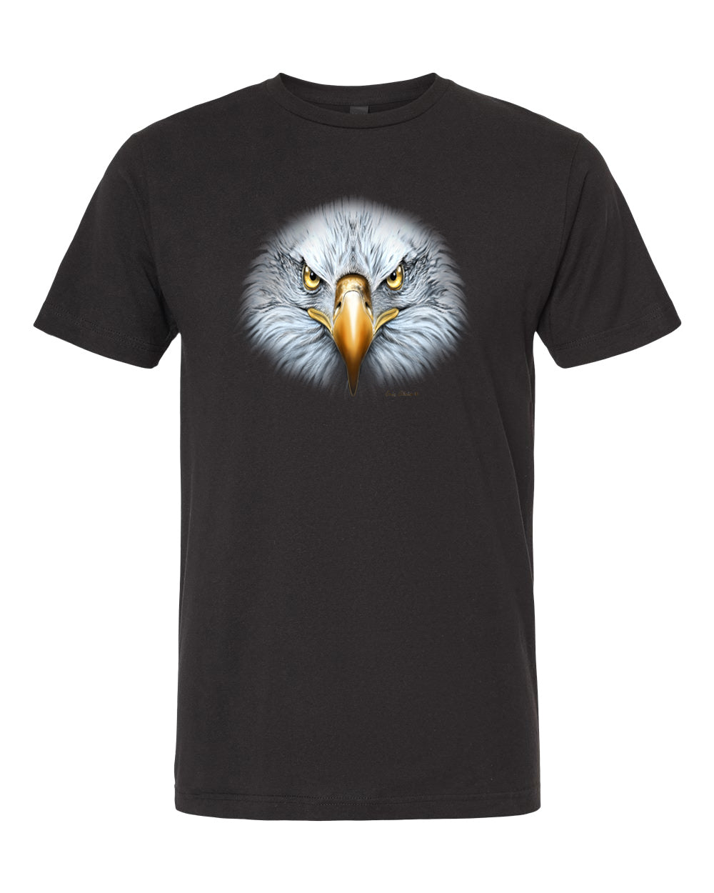 Adult Eagle Stare