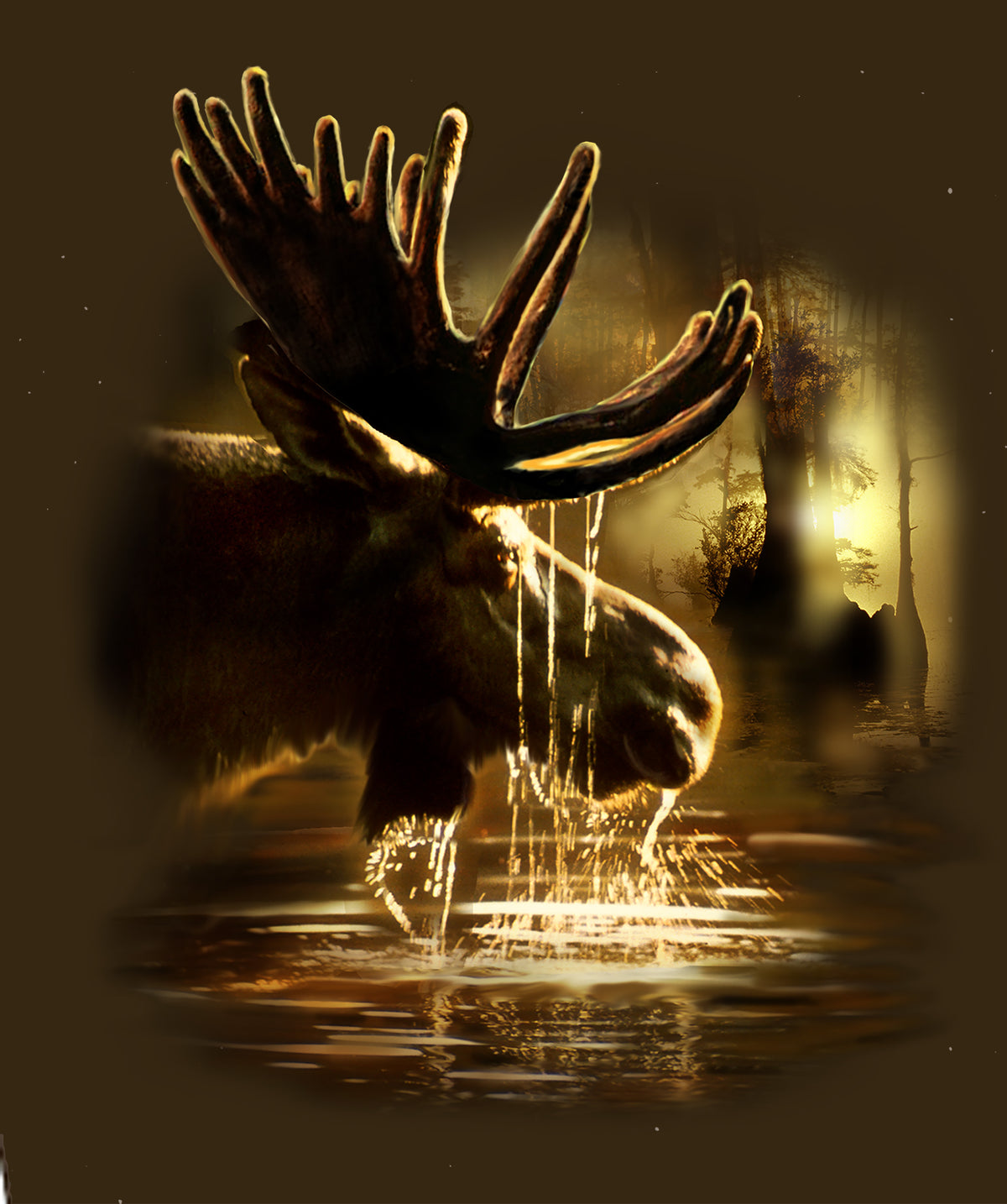 Adult Moose Reflections T-Shirt