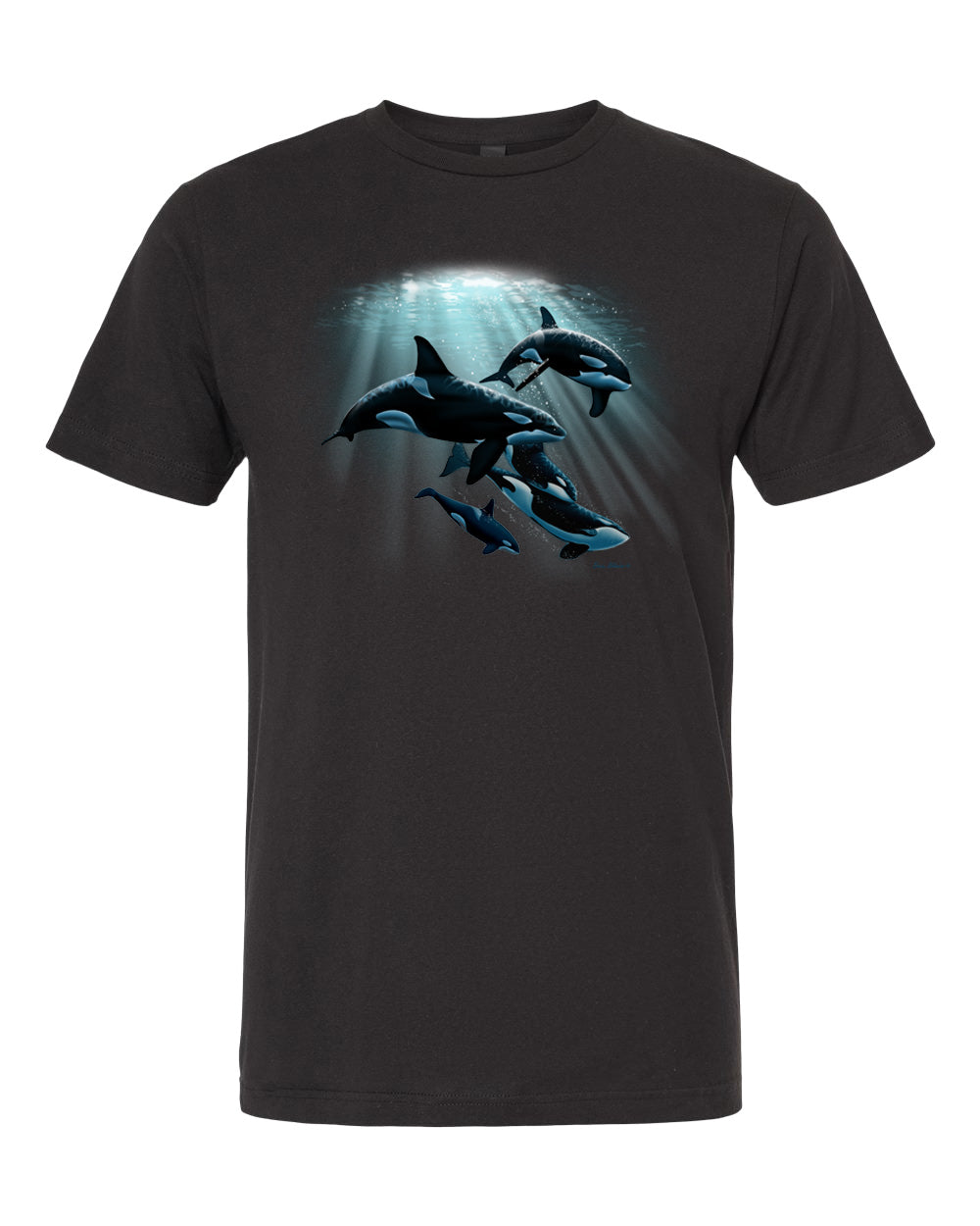 Adult Sunlit Orcas