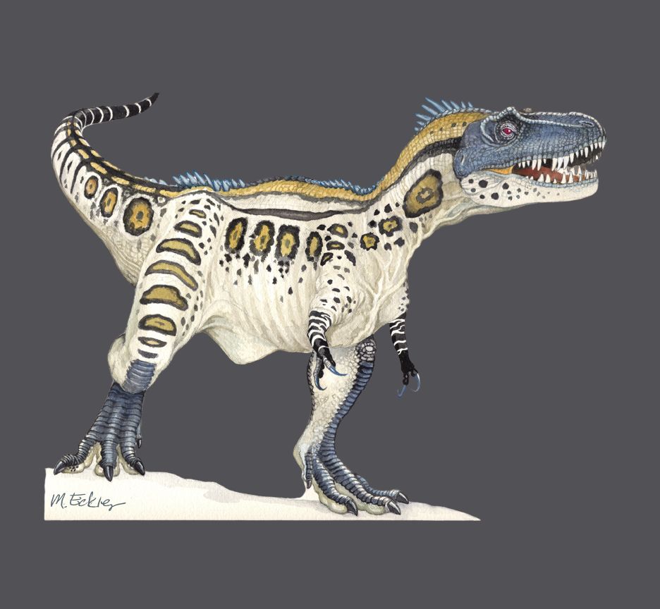 Adult Albertosaurus in Colour T-Shirt