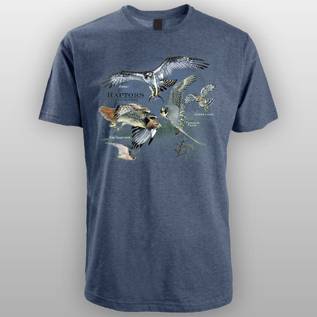 Birds of Prey on 50% cotton and 50% polyester grey adult navy/heather T-shirt.