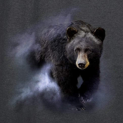 Black Bear in the Mist by Robert Campbell - painting of black bear walking through mist 