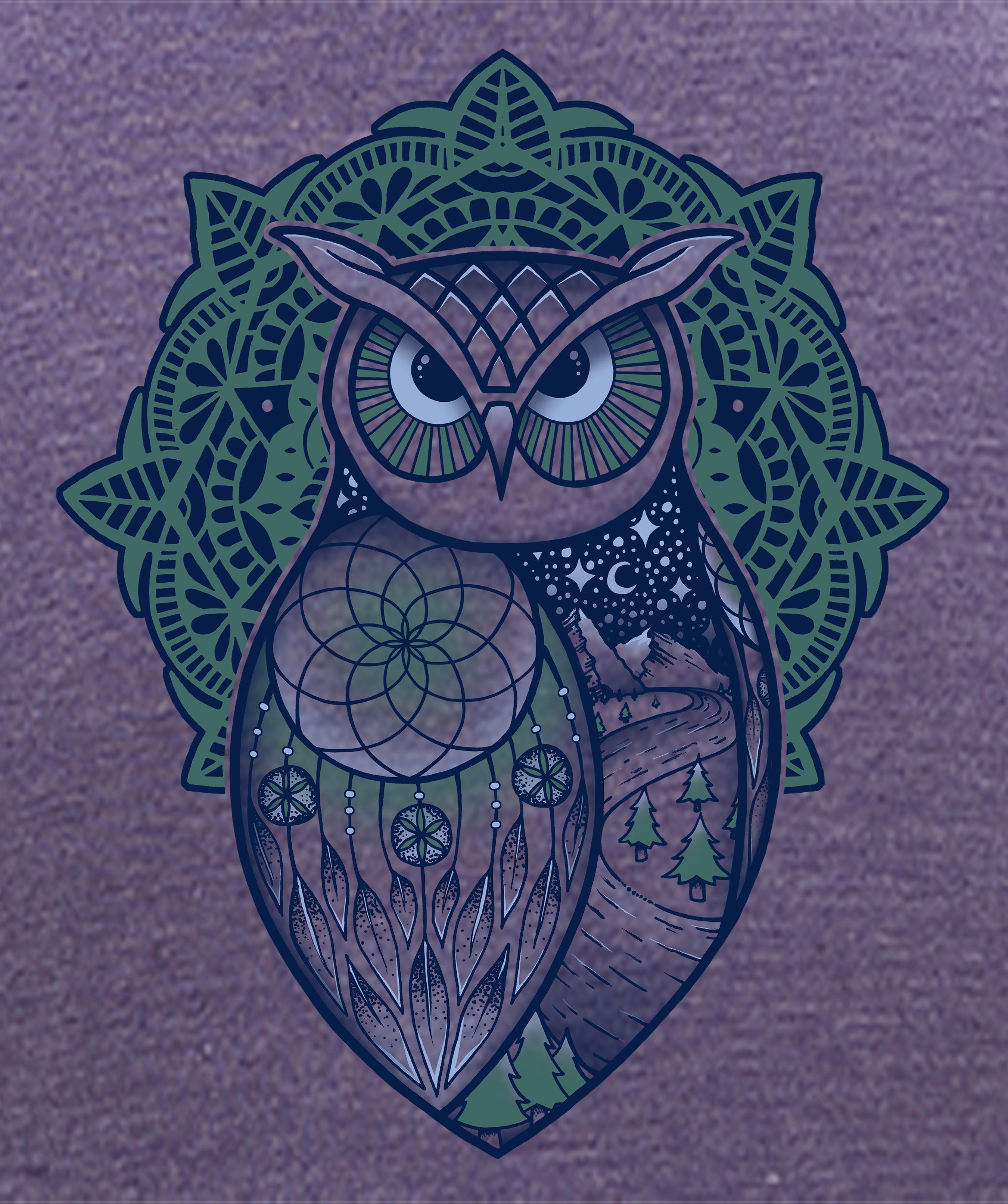 Spirit Owl- artwork of an owl with a dreamcatcher design in the wing