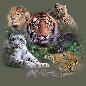 Big Cats- design featuring exotic cats including lion, tigers, cheetah and panther