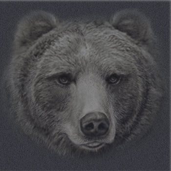 Big Head Grizzly Profile - painting of large portait of grizzly face