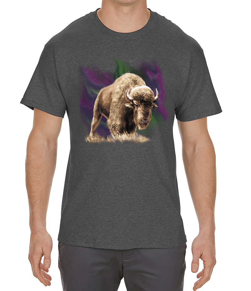 Light Show Bison T-shirt - Artwork of bison standing under the northern lights on charcoal heather t-shirt