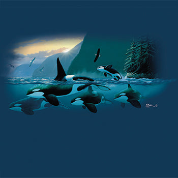 Sunset Orcas - painting of a pod of orcas swimming along the coast