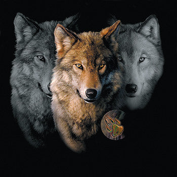 Wolf Trilogy by Robert Campbell - Painting of three wolf heads with paw imprint