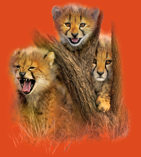 Children's Cheetah Cubs T-Shirt