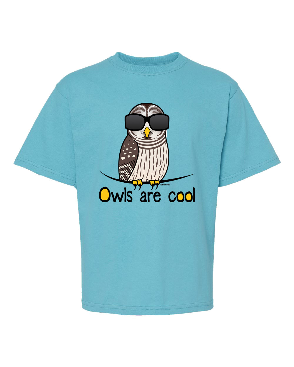 Youth Owls Are Cool