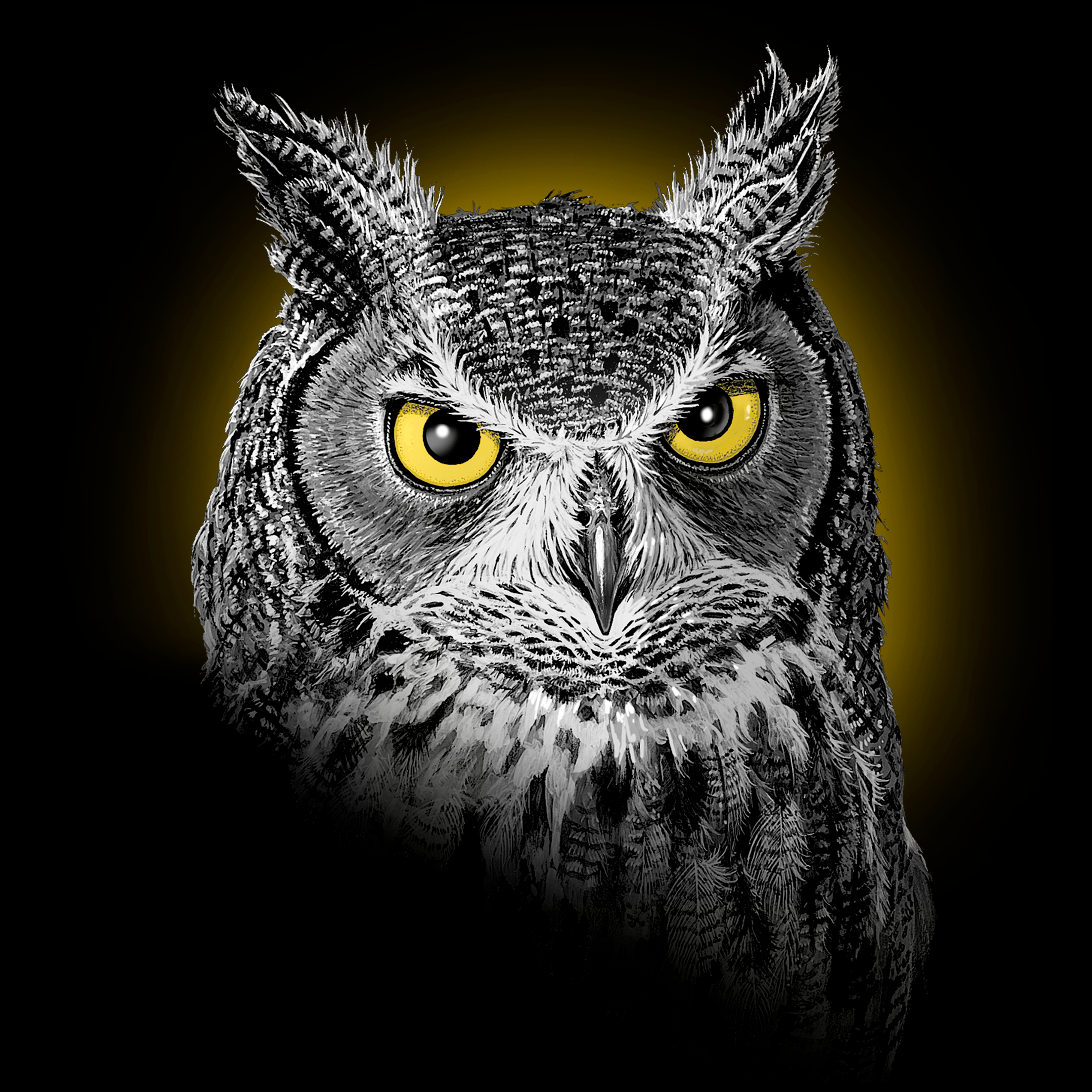 Adult Owl Portrait Left Chest T-Shirt