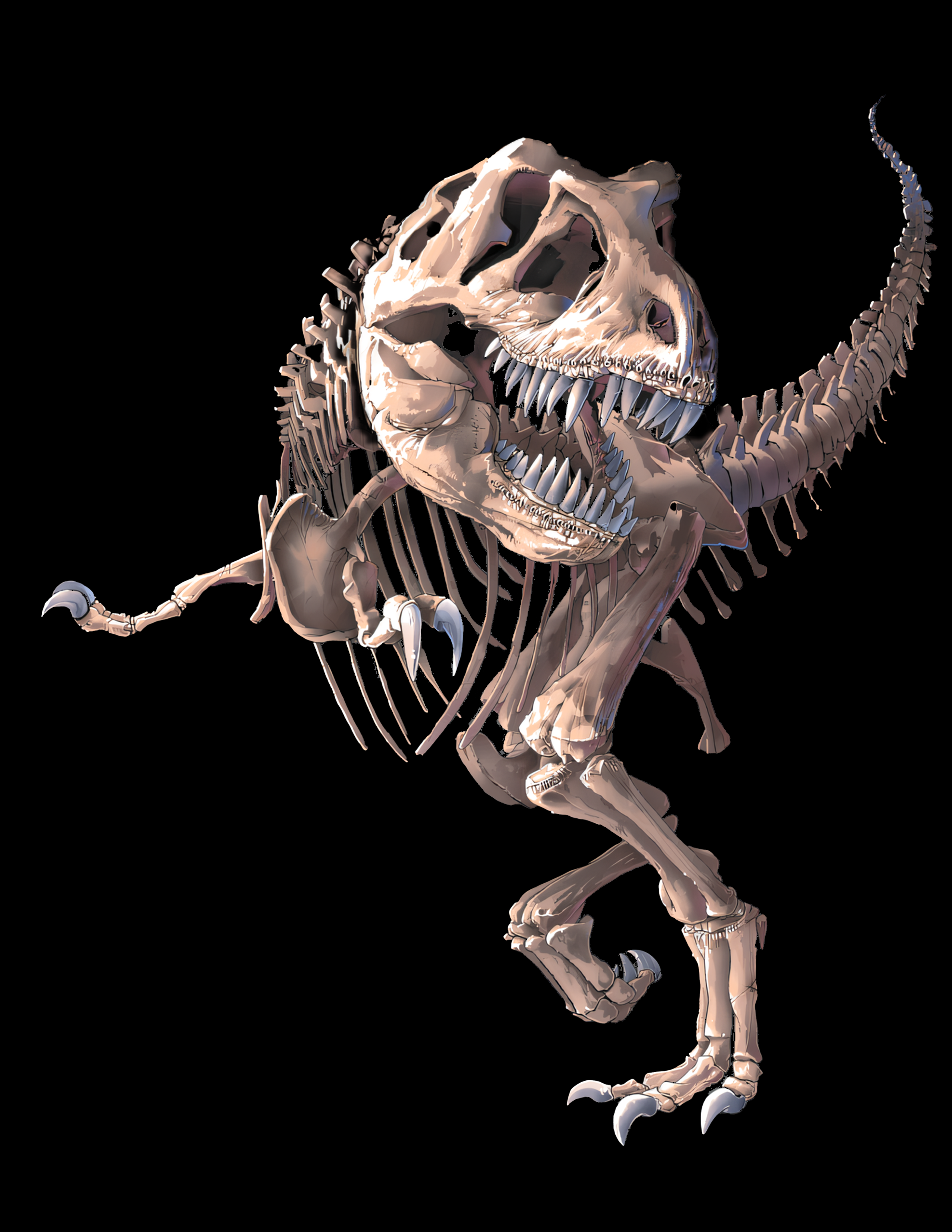 Adult T-Bone T-Shirt (T-Rex skeleton)