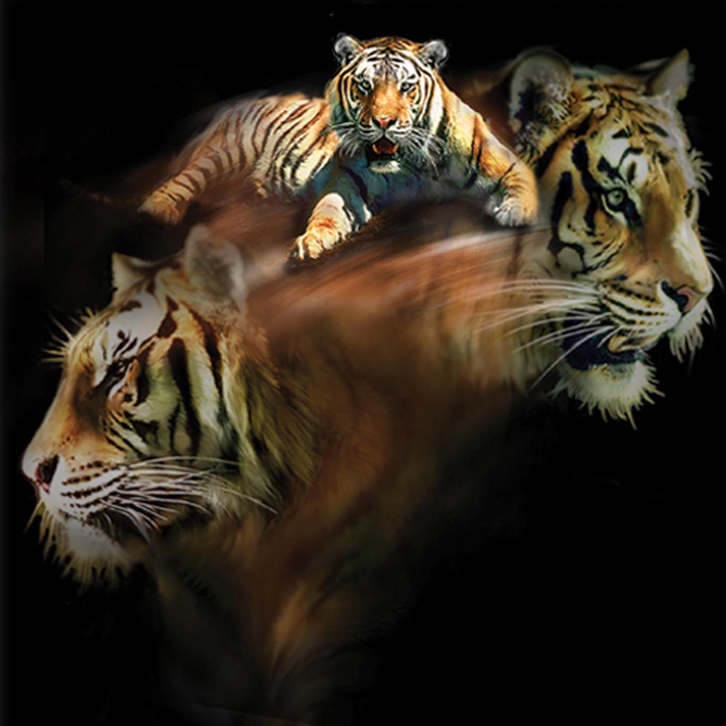 Adult Tiger Portrait T-Shirt
