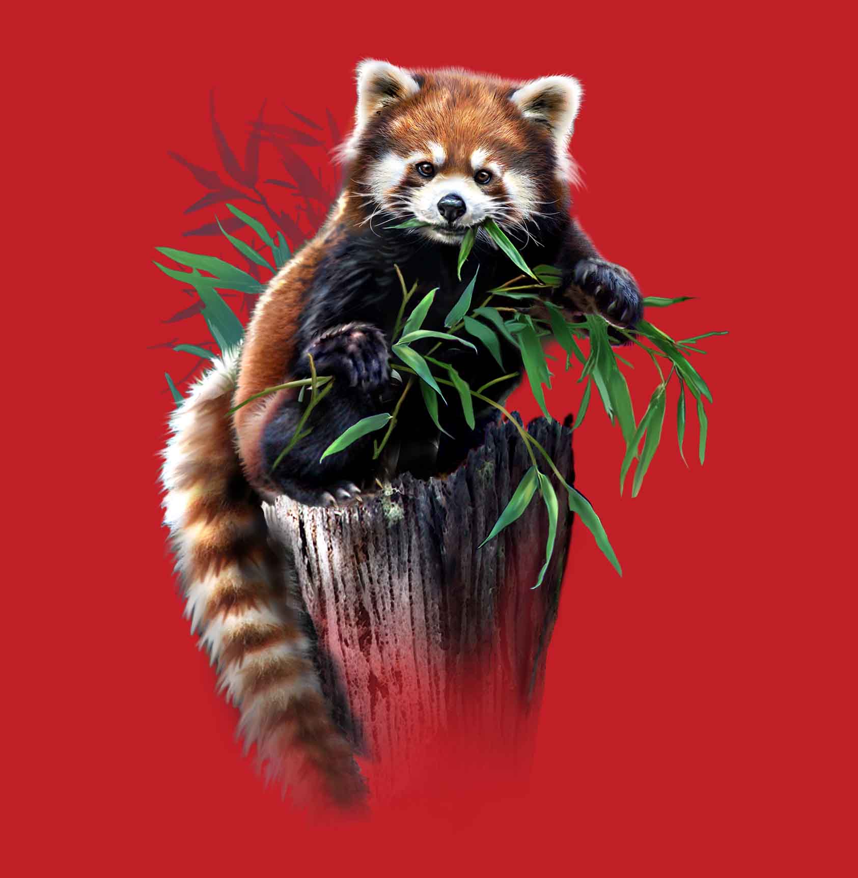 Adult Red Panda T-Shirt
