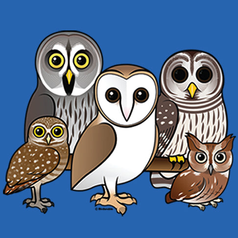 5 Owls - artwork of 5 owls on royal blue background