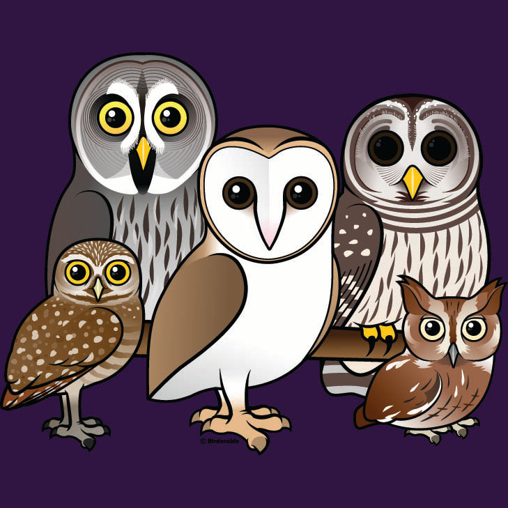5 Owls - artwork of 5 owls on purple background