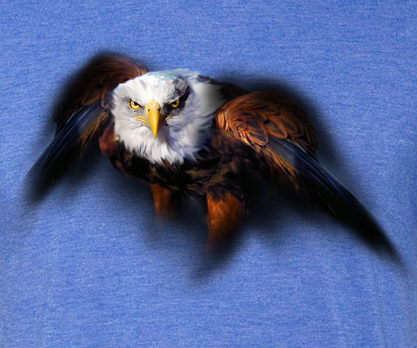 Bald Eagle Guardian Painting by Robert Campbell- Painting of eagle flying