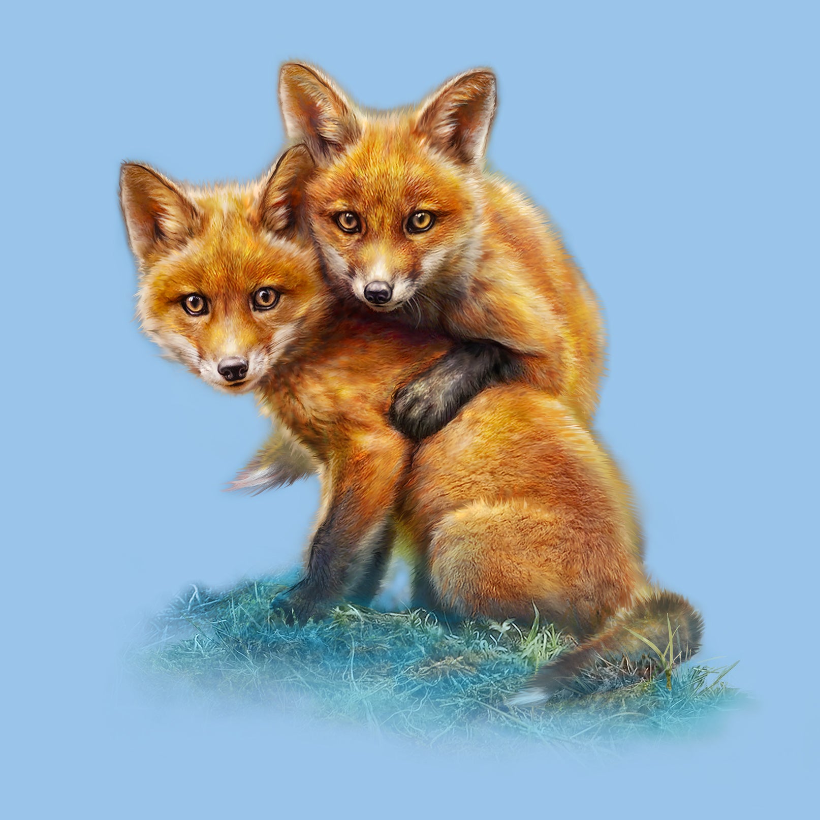 Fox Kits by Tami Alba- Artwork of two your foxes