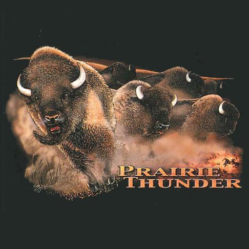 Prairie Thunder- artwork of several bison running