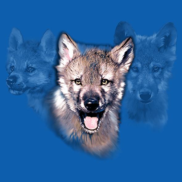 Pup Trilogy by Robert Campbell - painting of three wolf pups