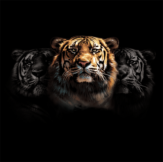 Adult Sherekhan Tiger T-Shirt