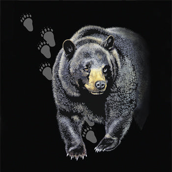 Bear Trax - painting of black bear with paw print tracks