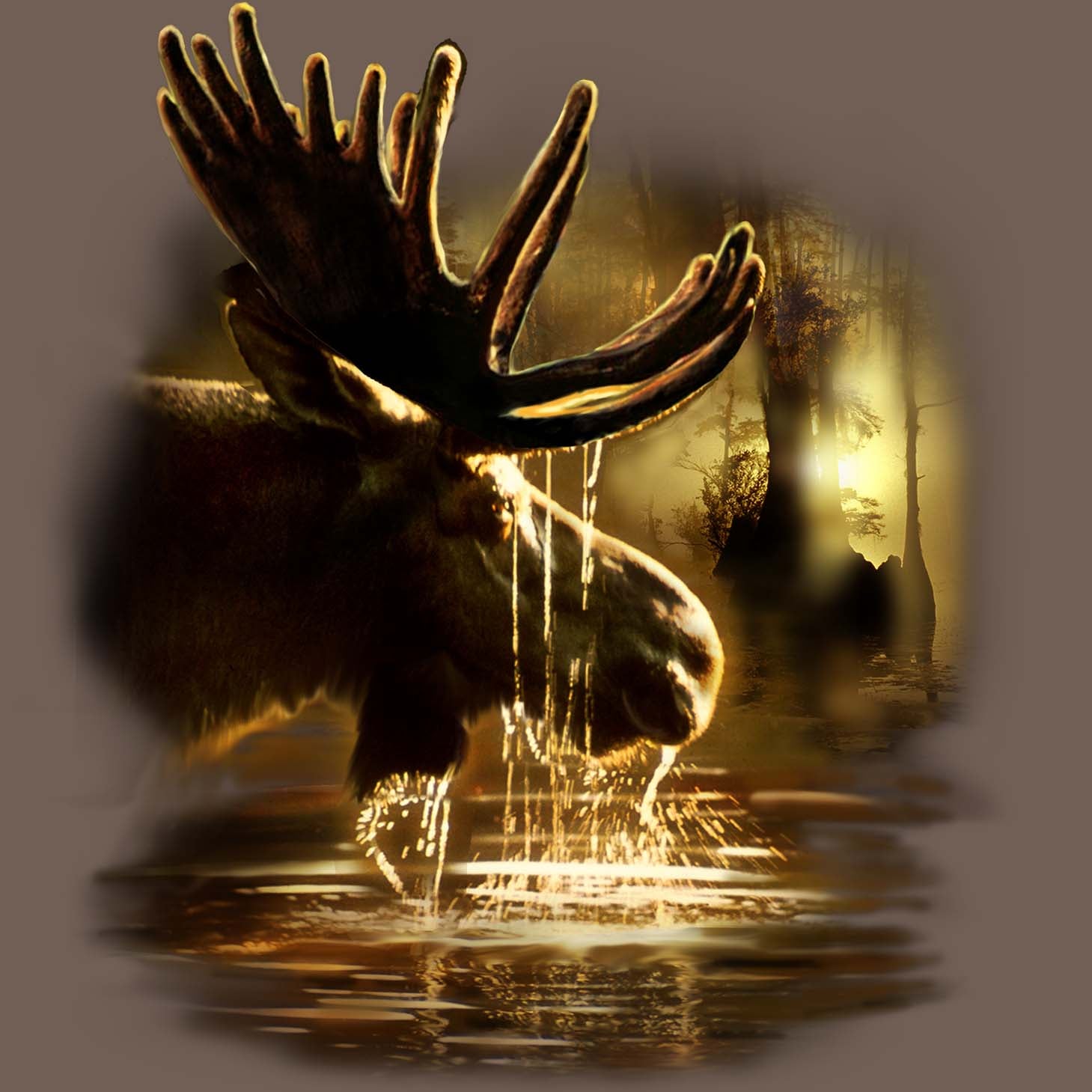 Moose Reflections by Tami Alba - painting of bull moose drinking from a lake