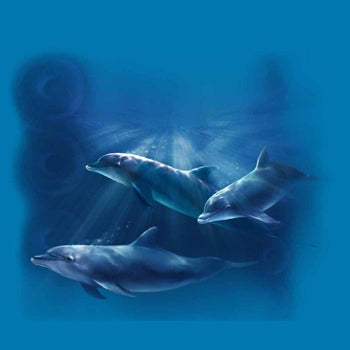 Spotlit Dolphins by Robert Campbell - painting of three dolphins swimming
