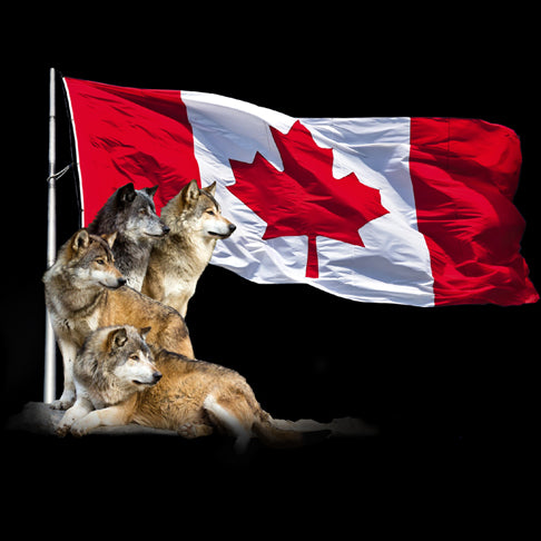 Wolf Flag - painting of 4 wolves staring into the distance in front of Canadian Flag